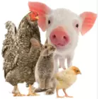 Компанія "Fermashop" - 3000+ товарів для фермерів!