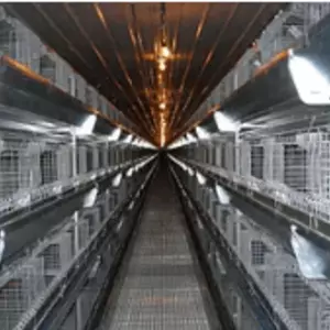 Клеточное оборудование - ПРОФИ Клеточное оборудование - ПРОФИ